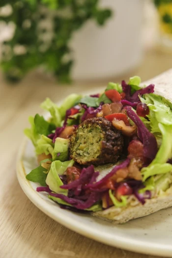Falafel Wrap